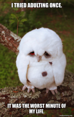 Sad Owl
