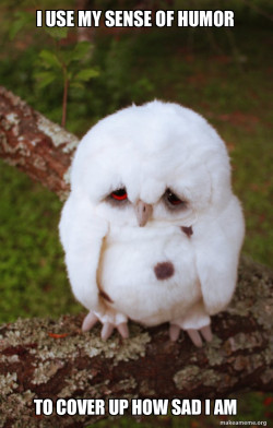 Sad Owl