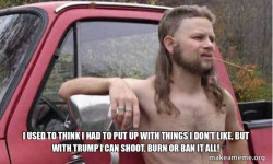 Almost Politically Correct Redneck