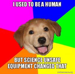 Advice Dog