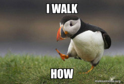 Unpopular Opinion Puffin