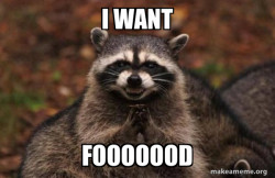 Evil Plotting Raccoon
