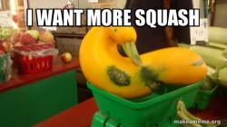 Gourd Advice Mallard