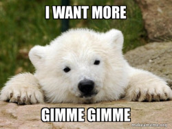 Popular Opinion Bear