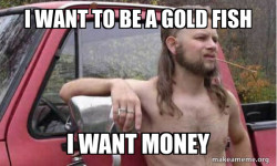 Almost Politically Correct Redneck