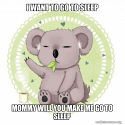 Aussie Koala doing the night shift