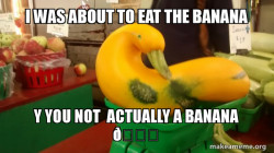 Gourd Advice Mallard
