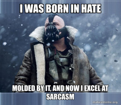 You merely adopted hate.