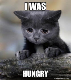 Confession Cat