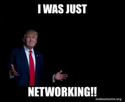 Trump Everything is FIne