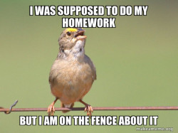 Common Opinion Sparrow