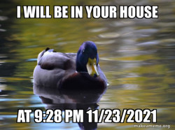 Zen Advice Mallard