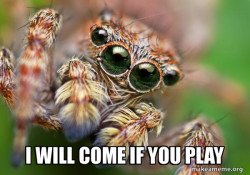 Hipster Spider
