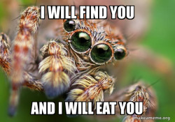 Hipster Spider