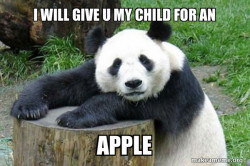 Confession Panda
