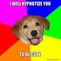 Cuter dog