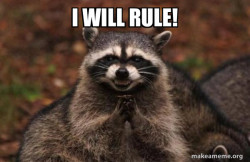 Evil Plotting Raccoon