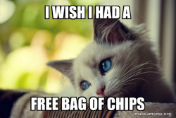 First World Cat Problems