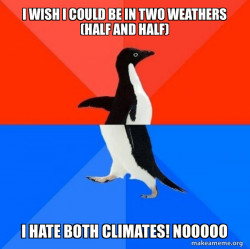 Socially Awesome Awkward Penguin