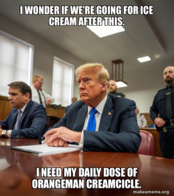 Trump Court Room