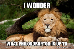 Contemplative Lion