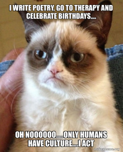 Grumpy Cat