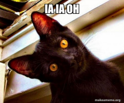 Overly Attached Cat