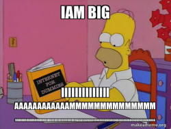 Internets Homer