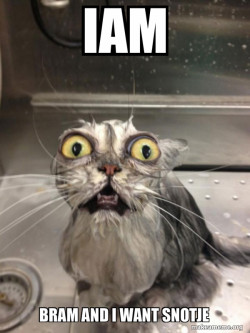 Cat bath