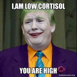 Donald Trump - The Joker