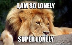 Confession Lion