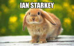 Regretful Rabbit