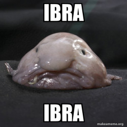 Blobfish