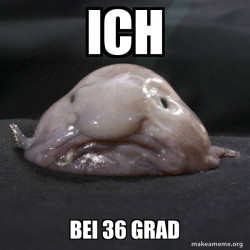 Blobfish