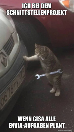 Mechanic Cat