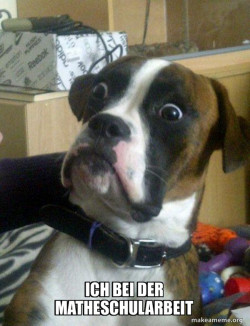 Skeptical Dog