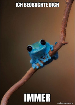Small Fact Frog