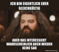 Hagrid - I should not have said that