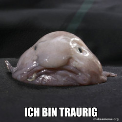 Blobfish