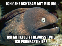 Bad Joke Eel