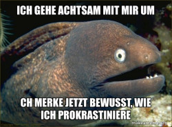 Bad Joke Eel