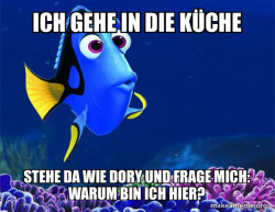 Dory from Nemo  (5 second memory)
