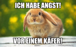 Regretful Rabbit
