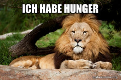 Contemplative Lion