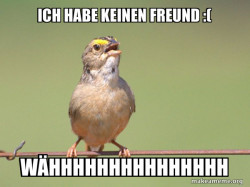 Common Opinion Sparrow