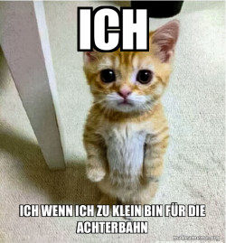 Cute Cat Standing
