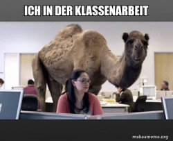 Hump Day Camel