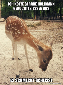 O M G Deer