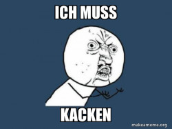Y U No