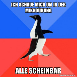 Socially Awkward Awesome Penguin